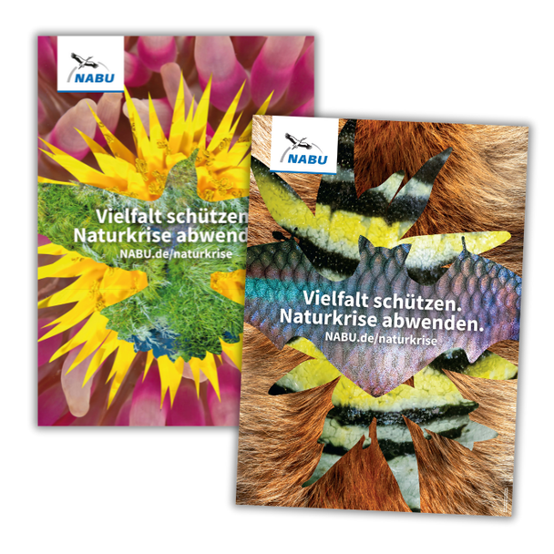 Poster-Set Vielfalt Biodiv-Kampagne