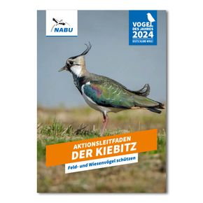 Aktionsleitfaden Kiebitz - Feld- und Wiesenvögel schützen (Digital)