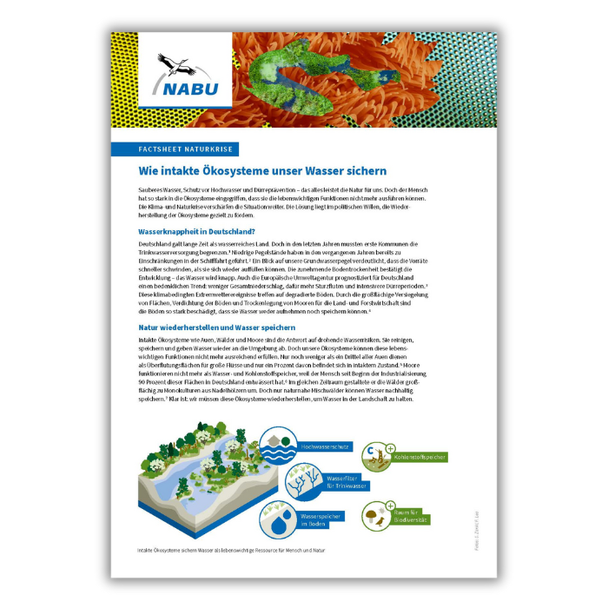Factsheet Naturkrise. Wie intakte Ökosysteme unser Wasser sichern