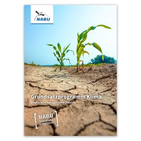 Grundsatzprogramm: Klima - Wege in eine klimagerechte Zukunft (Digital)