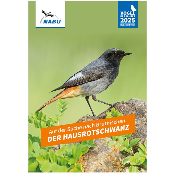 Leporello: Vogel des Jahres 2025 – Der Hausrotschwanz