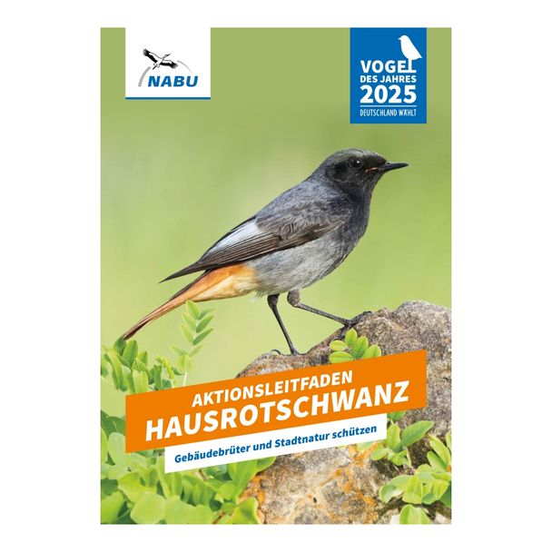 Aktionsleitfaden Hausrotschwanz - Gebäudebrüter und Stadtnatur schützen (Digital)