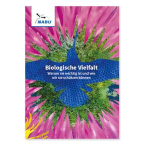 Leporello Biodiversität - Warum sie wichtig ist und wie wir sie schützen können (Digital)