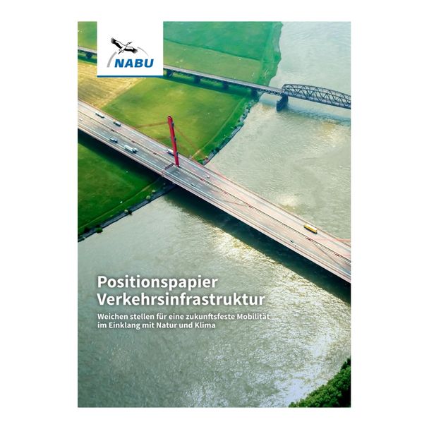 Positionspapier Verkehrsinfrastruktur (Digital)