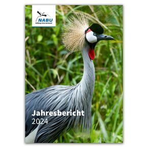 Jahresbericht 2024 - NABU International Naturschutzstiftung (Digital)