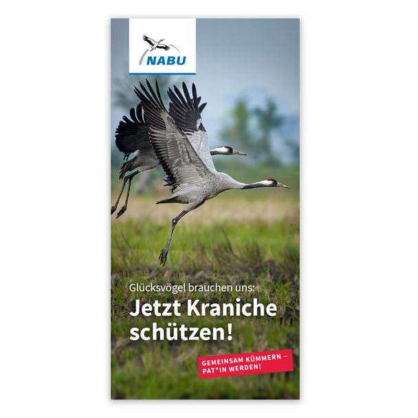 Jetzt Kraniche schützen - Kranichpatenschaft