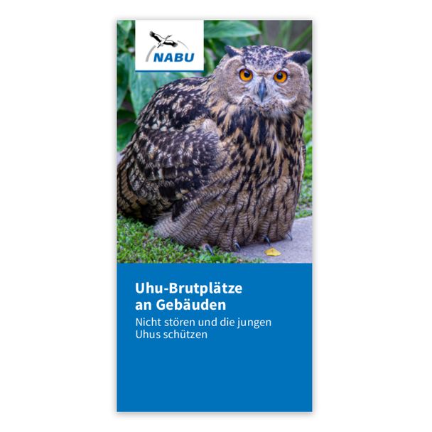 Uhu-Brutplätze an Gebäuden (Digital)