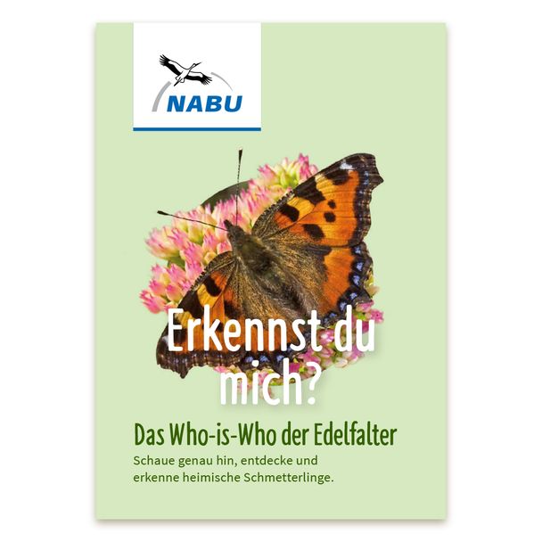 Leporello Schmetterlinge - Das Who-is-Who der Edelfalter