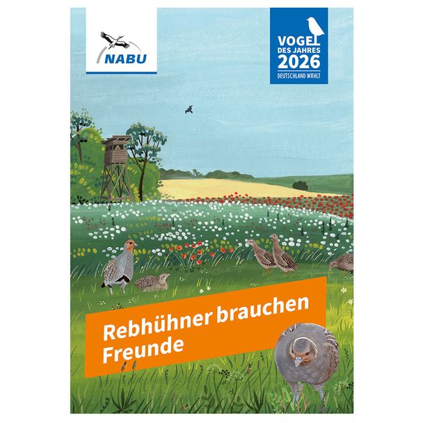 Rebhühner brauchen Freunde
