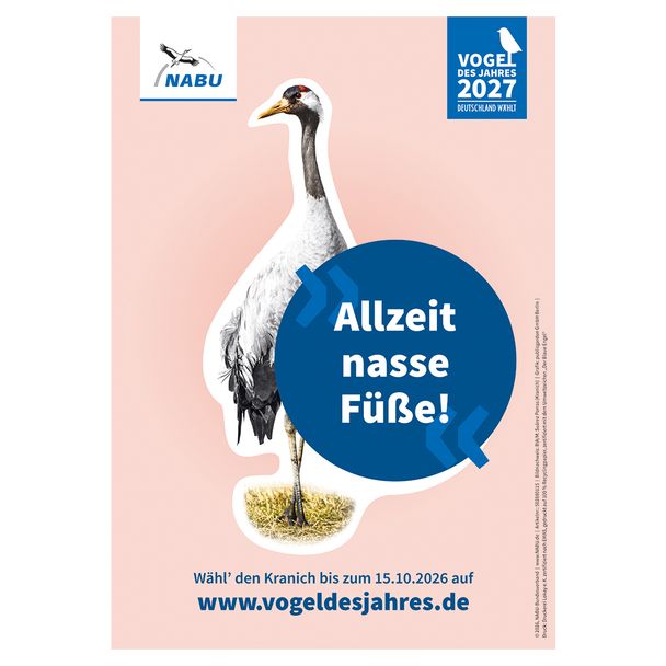Plakat A3 Kranich - Vogel des Jahres 2027