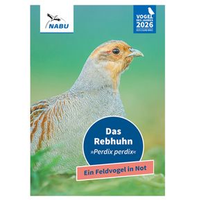 Leporello Vogel des Jahres 2026 (Digital)