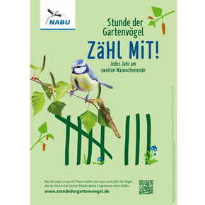 Plakat Stunde der Gartenvögel zeitlos (Digital)