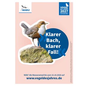 Plakat A3 Wasseramsel - Vogel des Jahres 2027