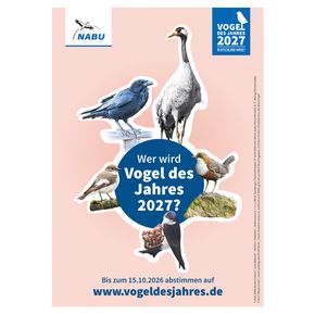 Plakat A3 Wahl - Vogel des Jahres 2027