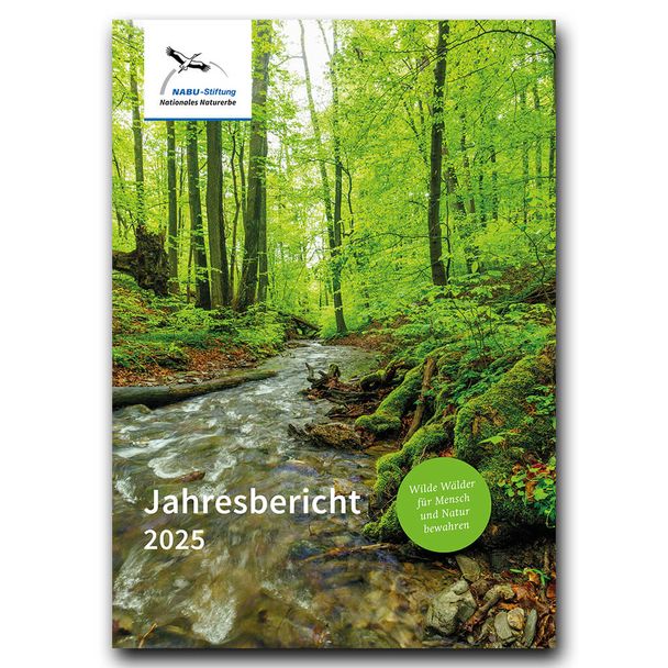 Jahresbericht 2025 - NABU-Stiftung