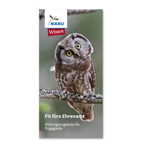 Fit fürs Ehrenamt - Bildungsangebote für Engagierte (Digital)