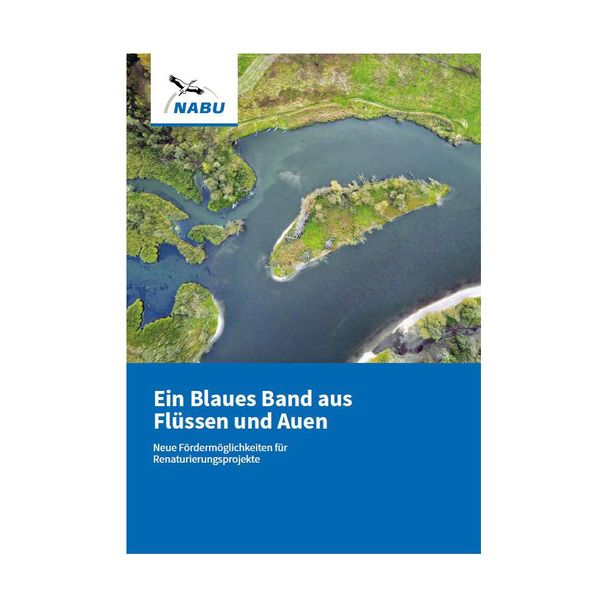 Ein Blaues Band aus Flüssen und Auen (Digital)