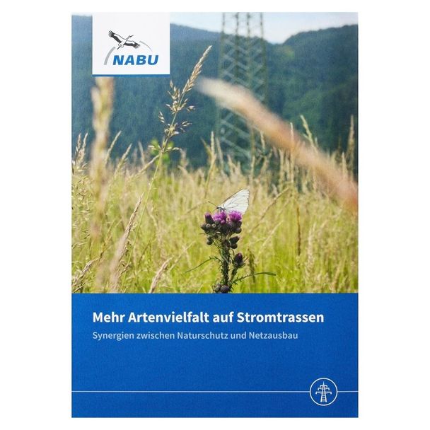 Mehr Artenvielfalt auf Stromtrassen - Synergien zwischen Naturschutz und Netzausbau