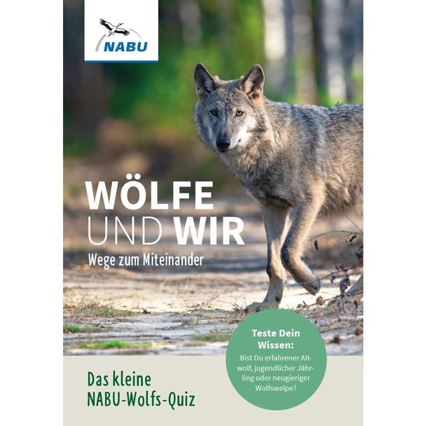 Das kleine Wolfs-Quiz