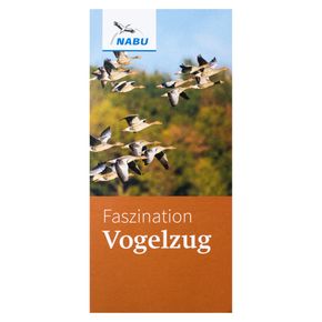 Faszination Vogelzug