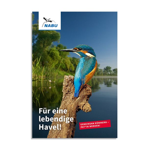 Für eine lebendige Havel - Havelpatenschaft