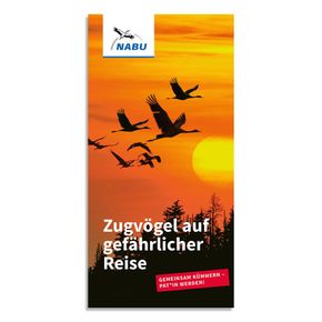 Zugvögel auf gefährlicher Reise - Zugvogelpatenschaft