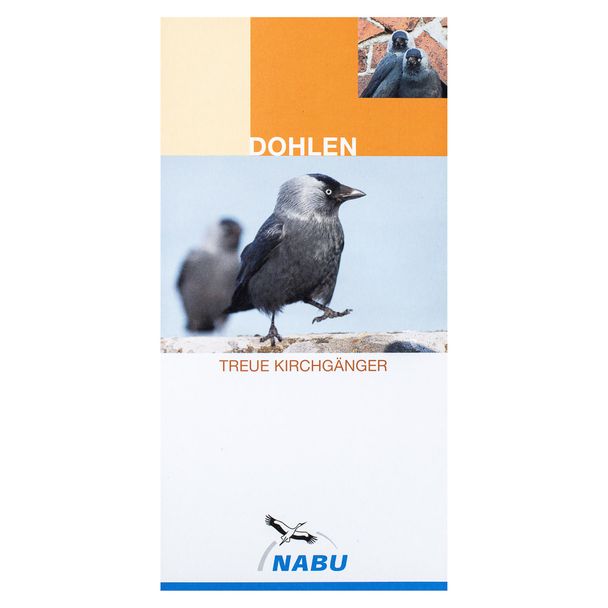 Dohlen