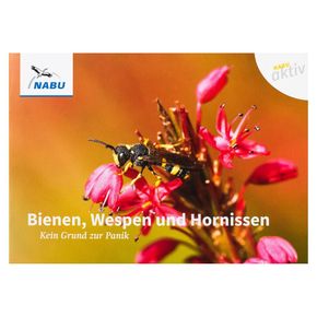 NABU aktiv: Bienen, Wespen und Hornissen – Kein Grund zur Panik (Digital)