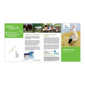 Weissstörche. Vögel von Welt