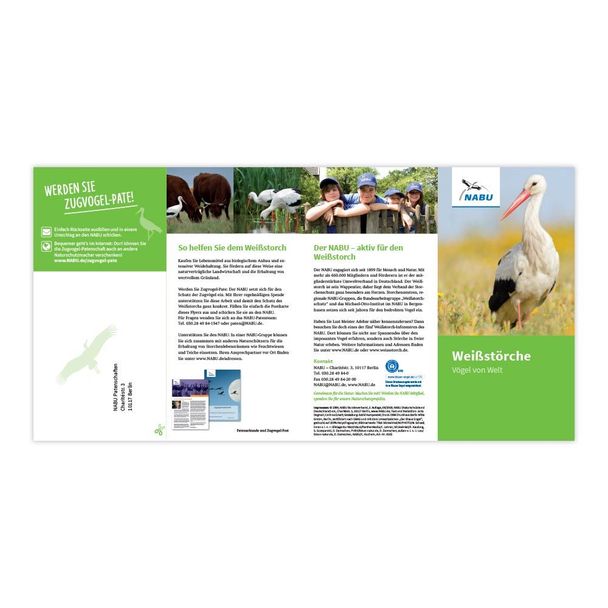 Weissstörche. Vögel von Welt