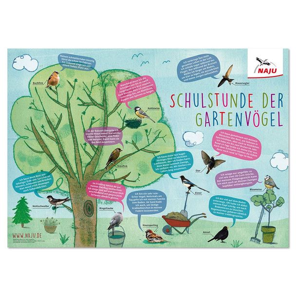 Schulstunde der Gartenvögel: Poster