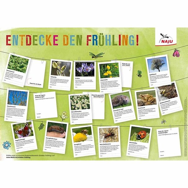 Mitmachposter mit allen Frühlingsboten (Digital)