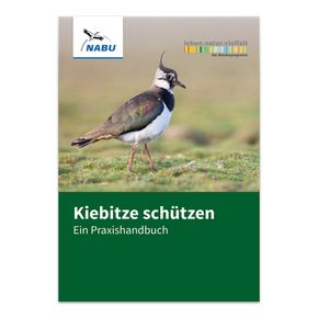 Kiebitze schützen - Ein Praxishandbuch (Digital)
