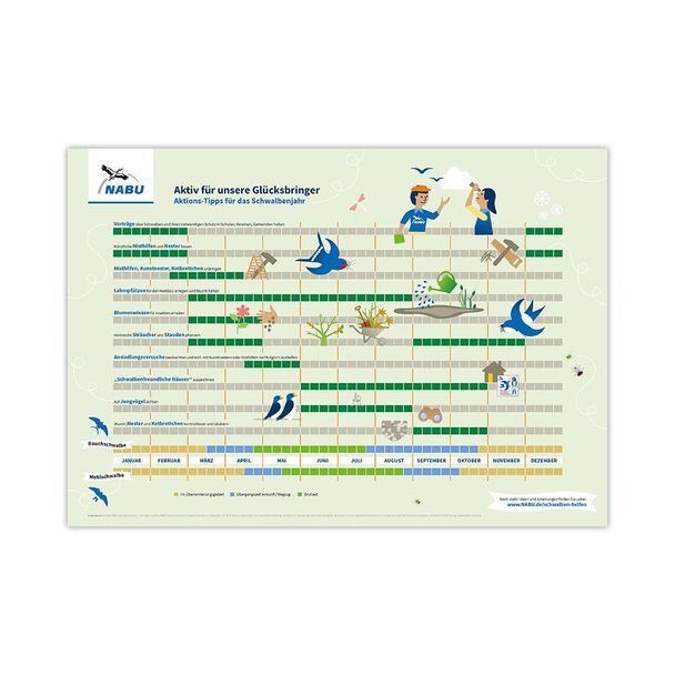 Aktions-Tipps für das Schwalbenjahr (Digital)