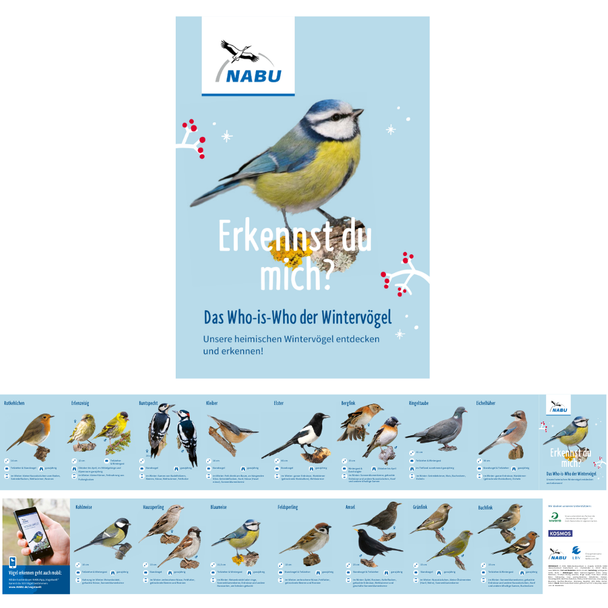 Leporello Wintervögel