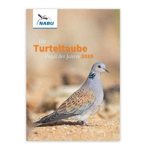 Infobroschüre "Die Turteltaube – Vogel des Jahres 2020" (Digital)