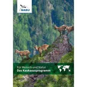 Kaukasus-Faltblatt - Das Kaukasusprogramm (Digital)