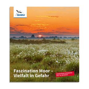 Faszination Moor - Vielfalt in Gefahr - Moorpatenschaft (Digital)