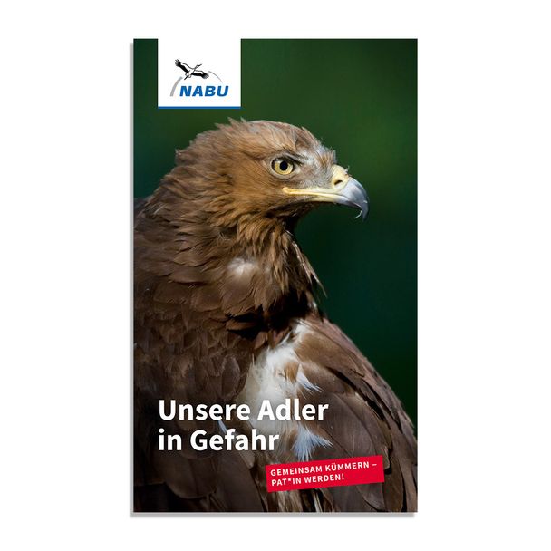 Unsere Adler in Gefahr - Adlerpatenschaft (Digital)