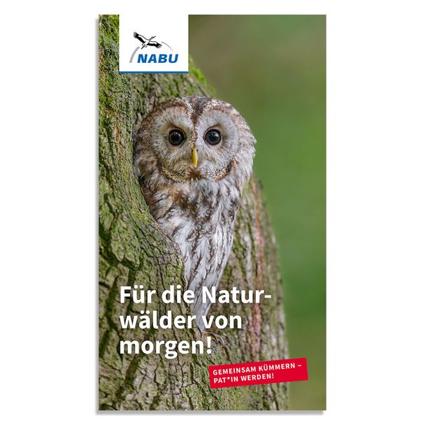 Für die Naturwälder von morgen! - Waldpatenschaft (Digital)