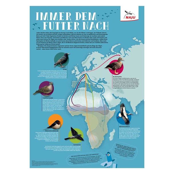 Vogelzug - Immer dem Futter nach! Poster (Digital)