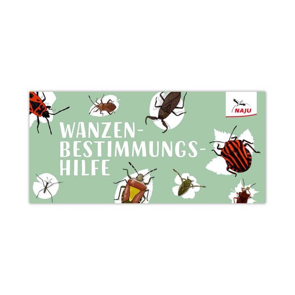 Wanzenbestimmungshilfe