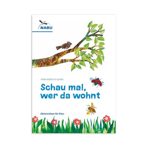 Schau mal, wer da wohnt - Aktionsideen für Kitas zum Käfer Immerfrech