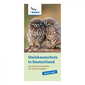 Faltblatt Steinkauzschutz in Deutschland (Digital)