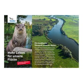 Mehr Leben für unsere Flüsse - Flusspatenschaft (Digital)