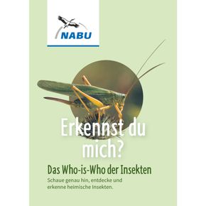 Leporello Insekten - Das Who-is-Who des Insektensommers