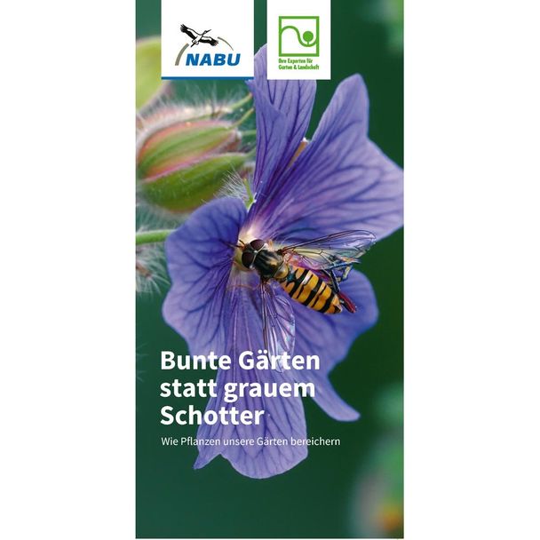 Bunte Gärten statt grauem Schotter