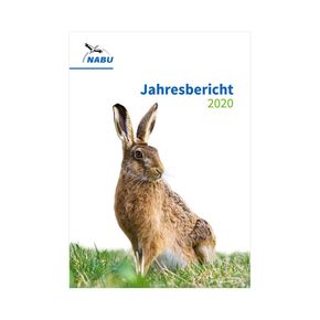 Jahresbericht 2020 (Digital)