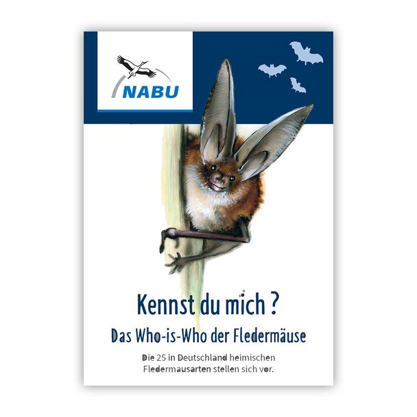 Leporello Fledermäuse