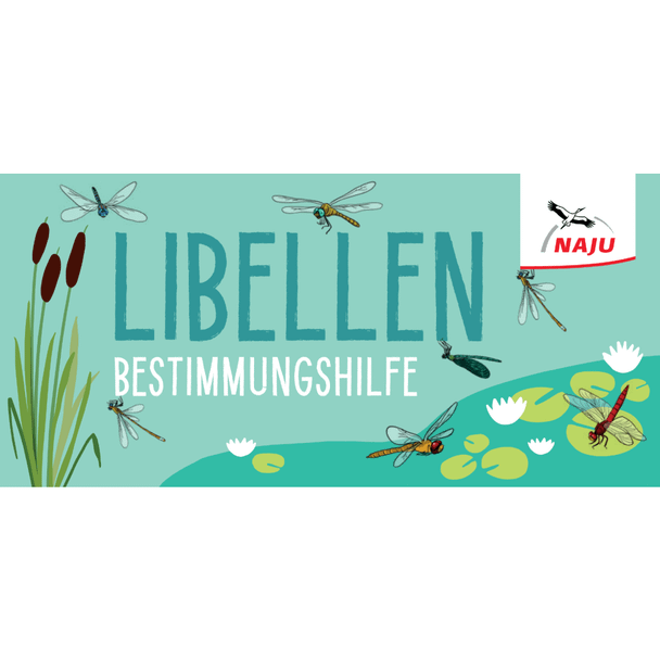 Libellen-Bestimmungshilfe (Digital)